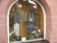 Bild 5 Wild in Miltenberg