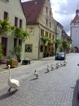 Bild 2 Prichsenstadt in Prichsenstadt