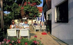 Bild 2 Schüpferling in Wiesenthau