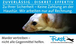 Bild 3 PCS GmbH Fürst Neustadt bei Coburg in Köln