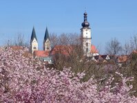 Bild 6 Verkehrsüberwachung in Weiden i.d.OPf.