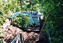 Bild 3 Geier in Viereth-Trunstadt