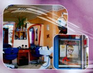 Bild 5 Löbauer Friseure e. G. in Löbau