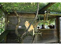 Bild 2 Tierpension Niederau in Niederau