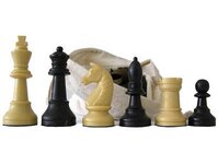 Bild 4 Euro Schach Dresden in Dresden