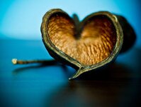 Bild 9 Meusel in Frankenberg/Sa.