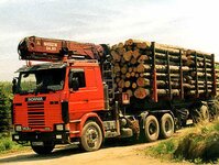 Bild 9 Baumpflege & Baumfällung Bach GbR in Drebach