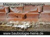 Bild 5 Heine in Kreischa