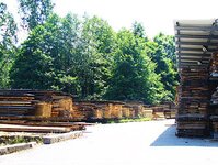 Bild 2 Frank Kunze Sägewerk Kunze e.K. in Chemnitz