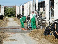 Bild 4 SACHSEN-SÄGE GmbH in Bannewitz