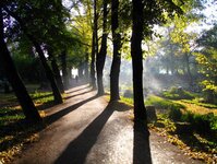 Bild 52 Friedhofsverwaltung Planitz in Zwickau