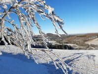 Bild 4 Lohse in Geising