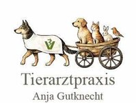 Bild 3 Tierarztpraxis Anja Gutknecht in Wilkau-Haßlau