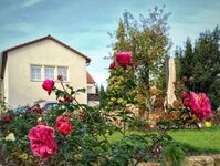 Bild 3 Pension Bräuer Inh. Brigitte Bräuer in Moritzburg