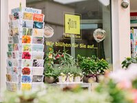 Bild 1 Stimpel in Coswig