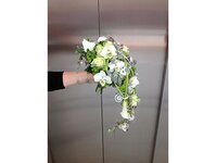 Bild 5 Blumengeschäft Inh. Ingeborg Bock in Hoyerswerda