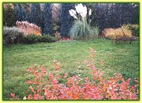 Bild 3 Hornung Andreas Naturgarten-Anlagen in Glauchau