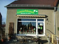 Bild 1 Mühle in Rietschen