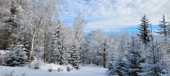 Bild 2 Lohse in Geising