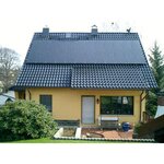 Bild 6 Vogel in Niederfrohna
