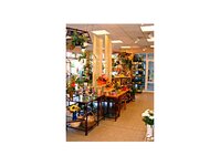Bild 16 Blumenpavillon Miller in Neustadt in Sachsen
