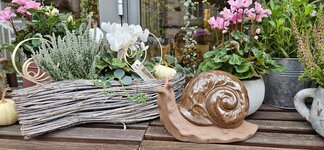 Bild 10 Blumengeschäft Blattmaus Manuela Paul in Görlitz