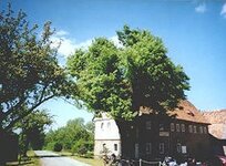 Bild 3 Oberschule "Klaus Riedel" in Bernstadt a. d. Eigen