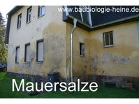 Bild 6 Heine in Kreischa