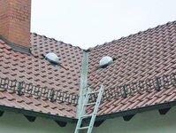 Bild 10 Brückner in Großröhrsdorf