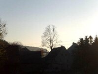 Bild 6 Baum-Haus-Service in Elstra