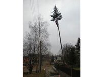 Bild 13 Baum-Haus-Service in Elstra