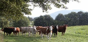 Bild 9 Mildenauer Agrar AG in Mildenau