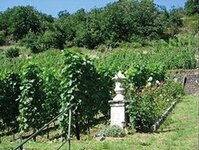 Bild 5 Lehmanns Weinstuben in Diesbar-Seußlitz