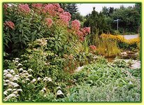 Bild 5 Hornung Andreas Naturgarten-Anlagen in Glauchau