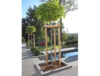 Bild 4 Heine in Werdau