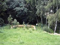 Bild 2 Tierheim Bischdorf in Rosenbach