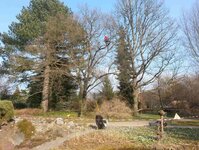 Bild 2 Andreas Deppner Baumpflege in Radebeul