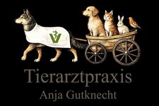 Bild 1 Tierarztpraxis Anja Gutknecht in Wilkau-Haßlau