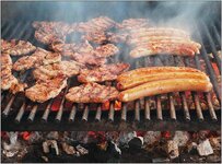 Bild 6 Fährgarten Johannstadt in Dresden