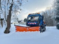 Bild 10 Morgenstern in Sehmatal-Cranzahl