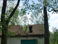 Bild 4 Baum-Haus-Service in Elstra