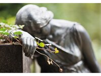 Bild 1 Lohr in Neustadt in Sachsen