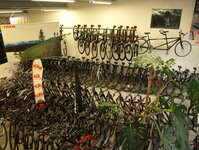 Bild 5 Radsport Kotyrba in Dresden