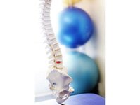 Bild 5 Schröter in Dresden