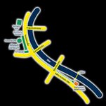 Bild 15 Fährgarten Johannstadt in Dresden