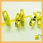 Bild 1 Schaffer in Plauen