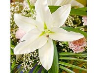 Bild 5 Blumen + Kunst Jonas in Hoyerswerda