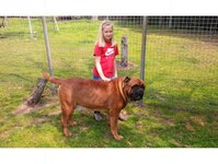 Bild 7 Tierpension Niederau in Niederau