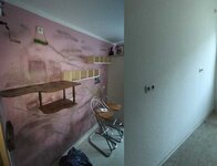 Bild 4 Wagner Umzüge | Umzugsunternehmen & Haushaltsauflösungen in Dresden