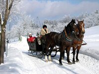 Bild 6 Gasthof Bärenfels in Altenberg